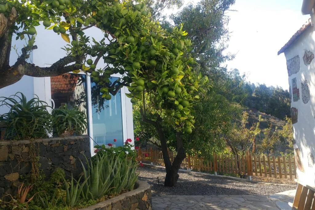 Casa Rural Servanda Puntagorda Exterior foto